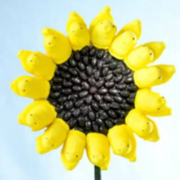 Amazing Sunflower Craft Using Beans 