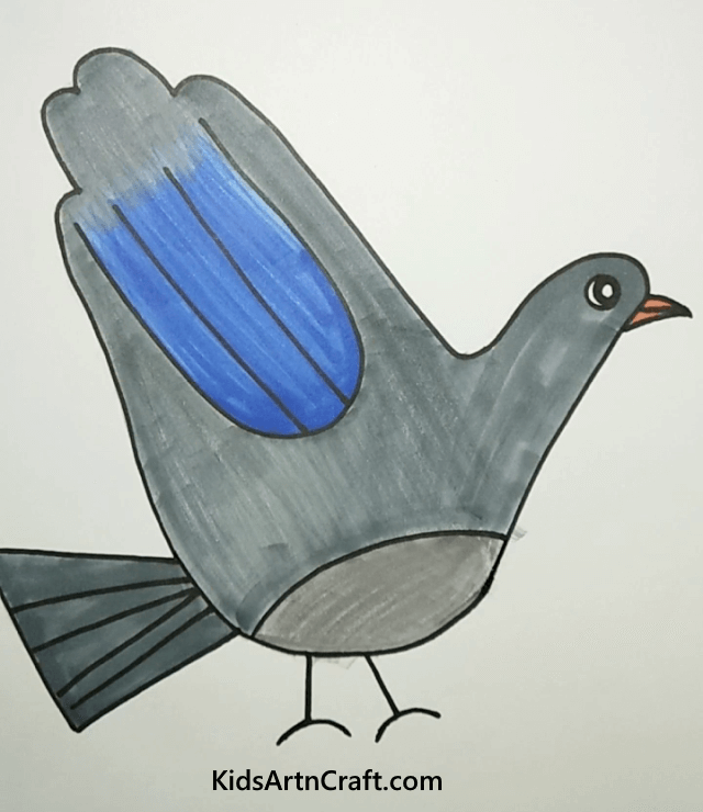 Beautiful Pigeon Drawing for Kids