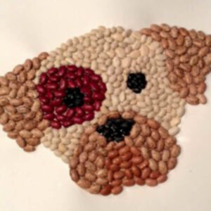 Fun Bean Crafts and Activities for Kids - Kids Art & Craft