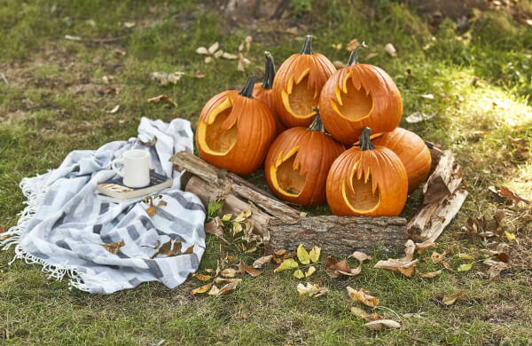 Easy To Make Pumpkin Carving For Outside Camping 