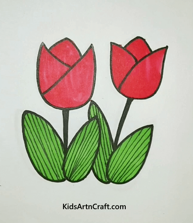 Easy Flower Drawings with Colors Red Tulips