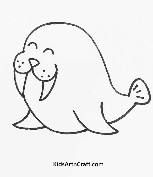 Easy Animal Drawings For Creative Adventure Seal