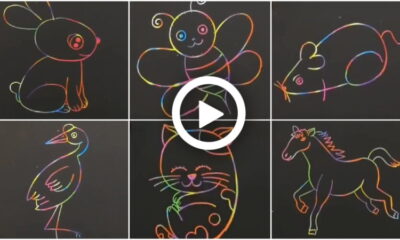 Simple Animal Drawings for Kids