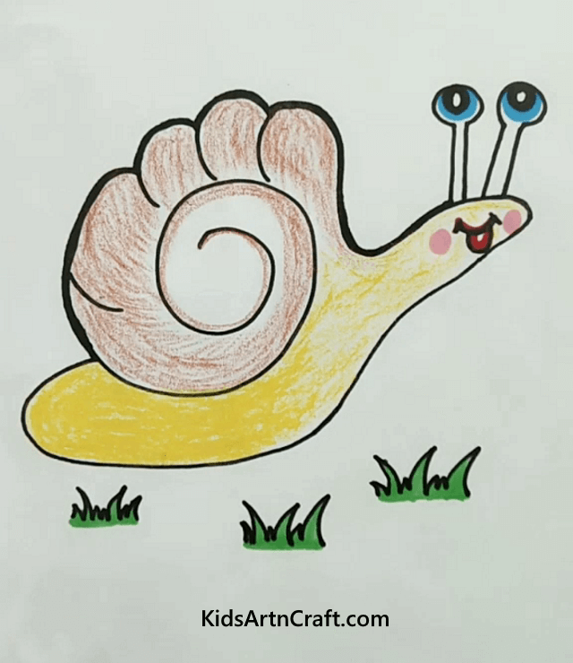 Snail Animal Drawing For Kids