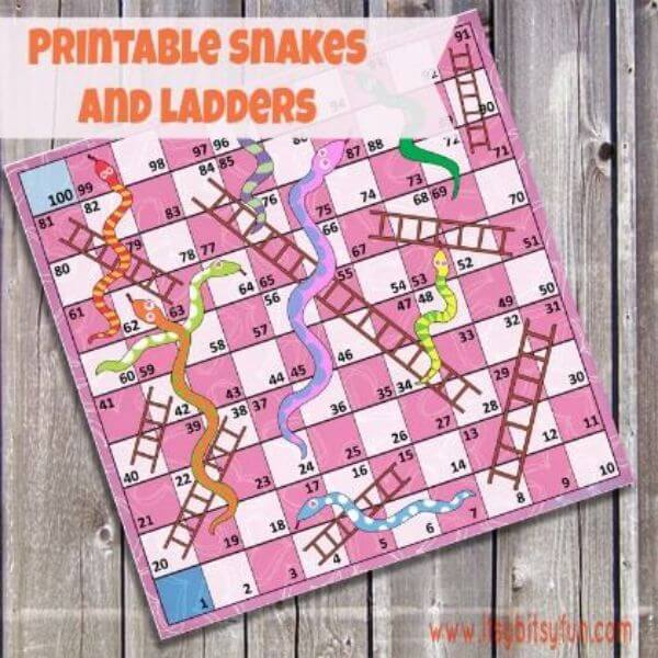 The Snake And Ladder Game