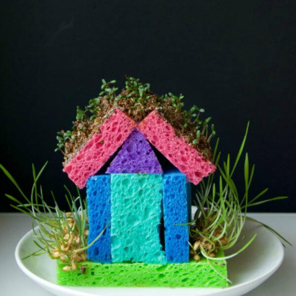 DIY Sprout House Project For Kids