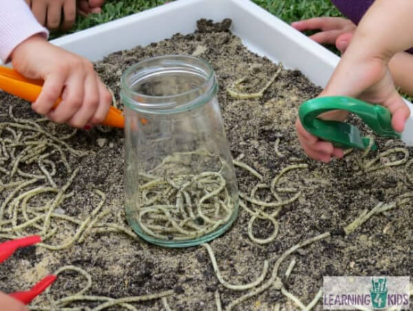 Digging For Worms Sensory Play 7 Year Olds