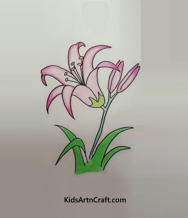 Floral Artwork: Look Around And Draw These Beauties A Beautiful Flower With Long Petals