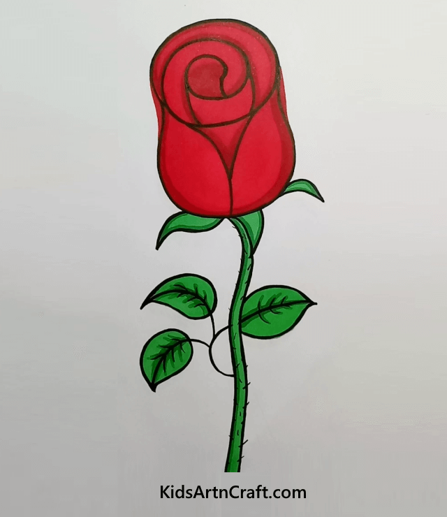 Floral Artwork: Look Around And Draw These Beauties A Sparkling Red Rose.