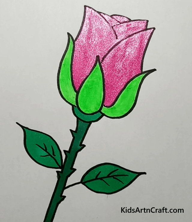 An Expressive Pink Rose.