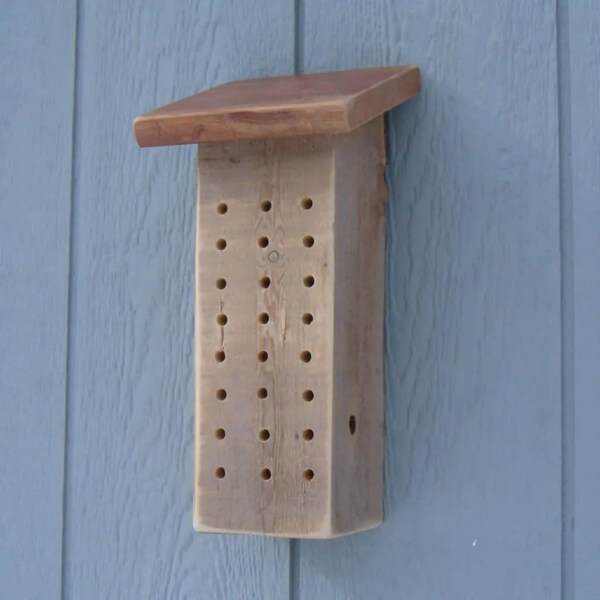 How To Make A Mason Bee House Project