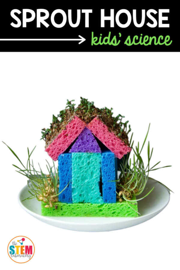 Awesome Sprout House Craft Made With Sponge