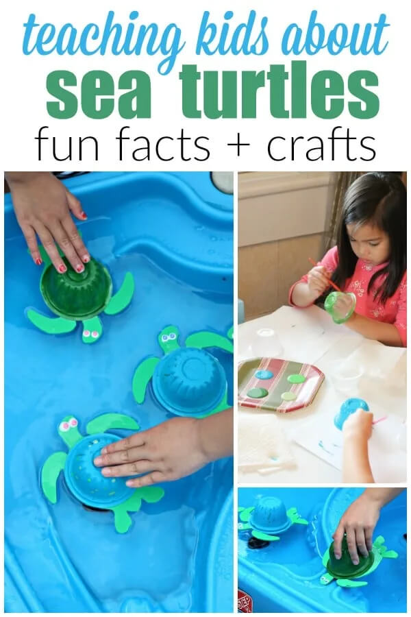 Floating Sea Turtles Craft