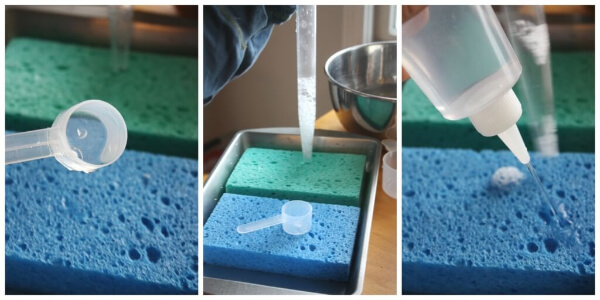 Quick Water Science Experiment Activity For Students Spunky Sponge Crafts & Activities For Kids