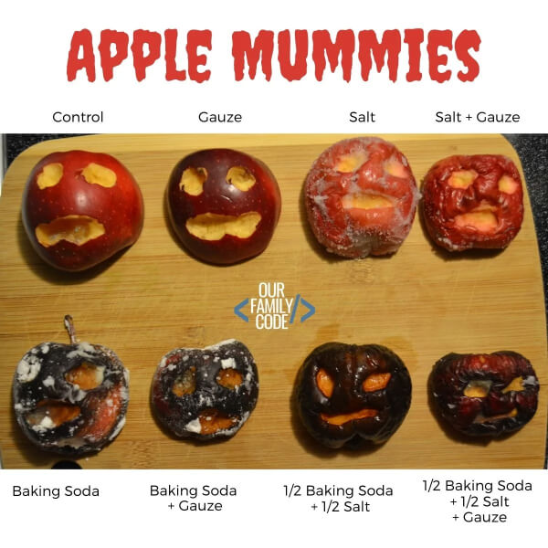 An Apple Mummification Experiment Projects For 7th Grade