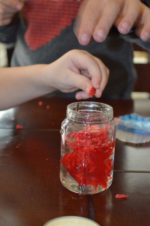 Blood Experiment At Home Science Projects for 4th Grade Students