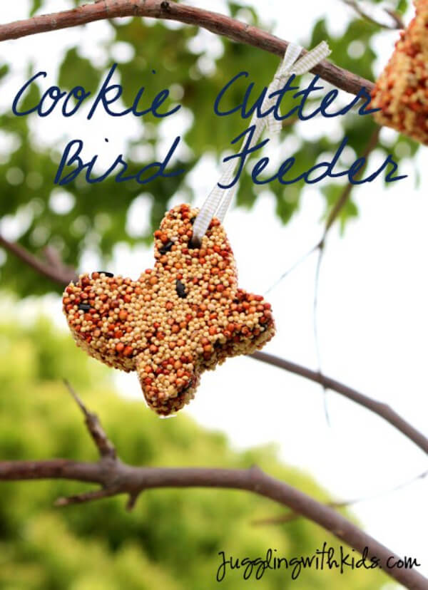 Cookie Cutter Bird Feeder Project For School