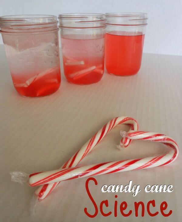 Candy Cane Science Activity For Kids