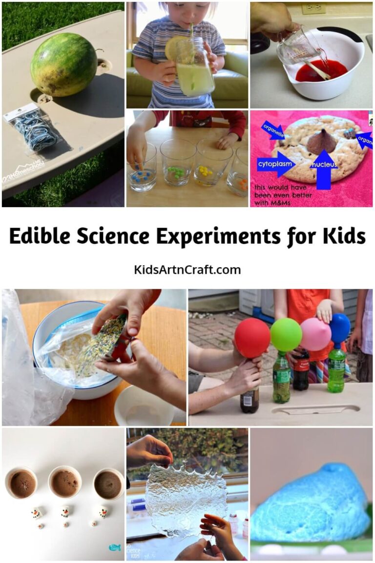 Edible Science Experiments for Kids Kids Art & Craft
