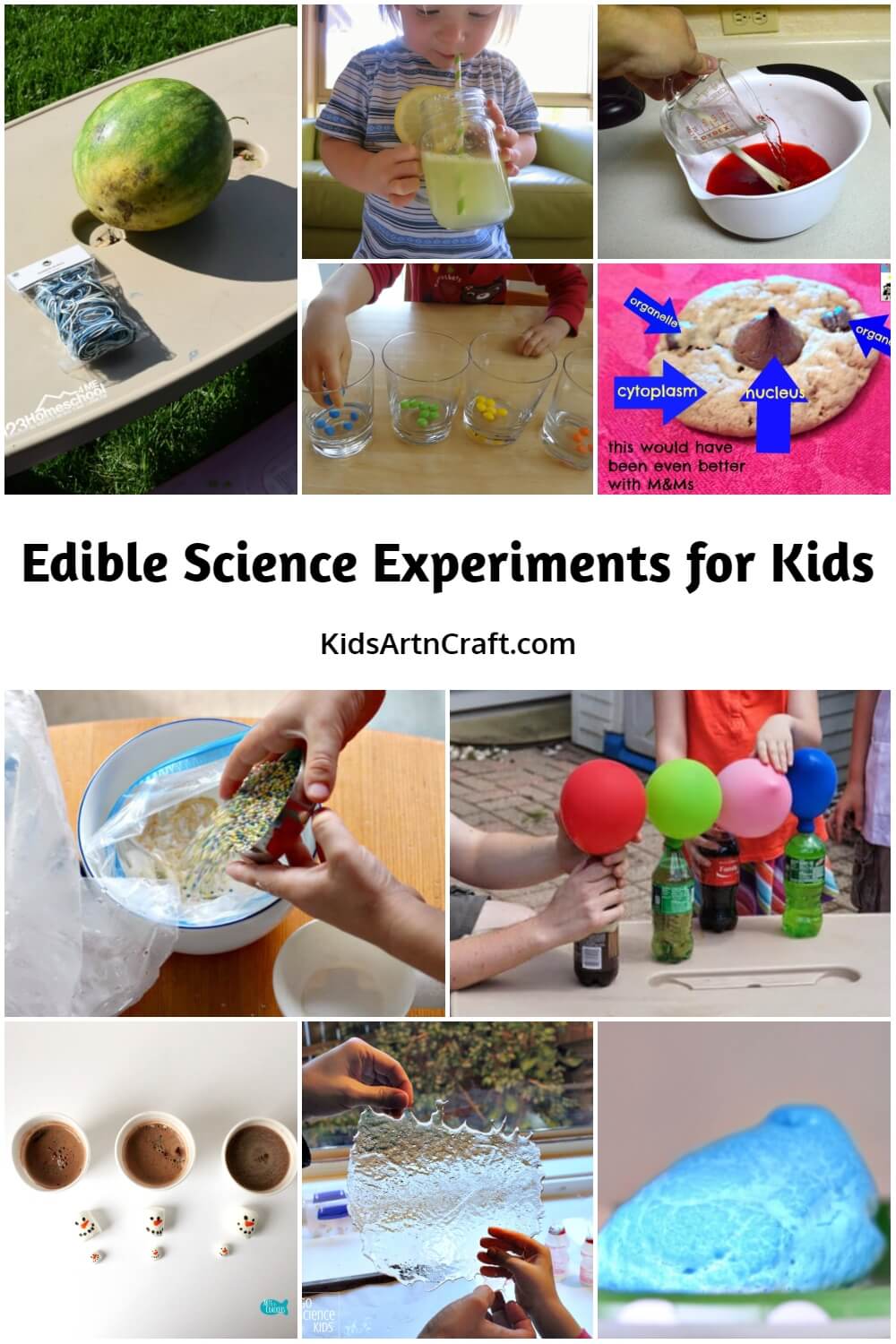 Edible Science Experiments for Kids