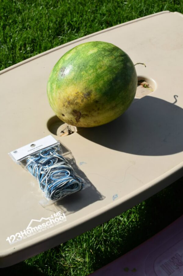 Exploding Watermelon Science Experiment For Kids