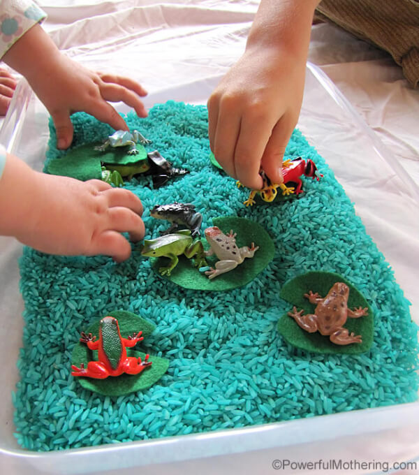 Sensory Frog Activities For Kindergarten Toad Crafts & Activities for Kids