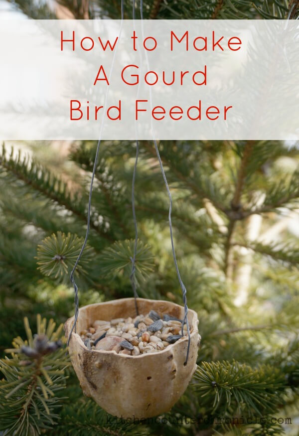 How to Make A Hanging Gourd Bird Feeder Craft For Kids Bird Feeders To Make With Kids