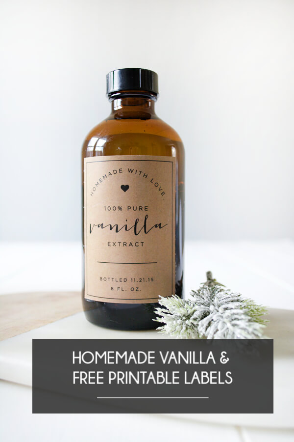  DIY Homemade Vanilla Activity
