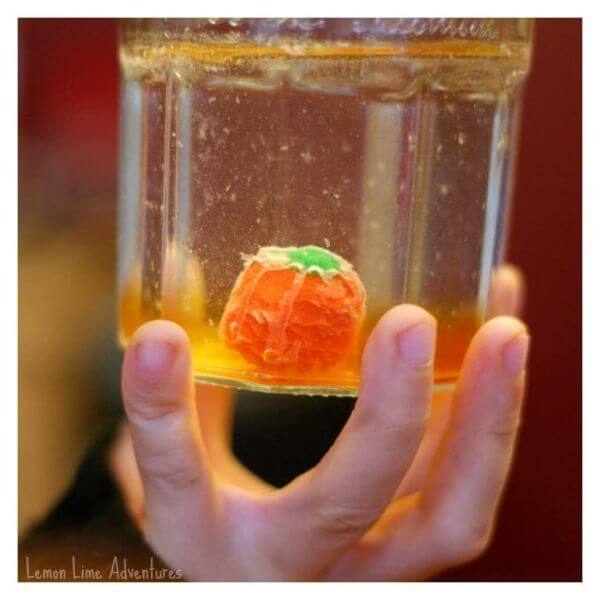 How To Do The Dissolving Pumpkins Halloween Science Experiment
