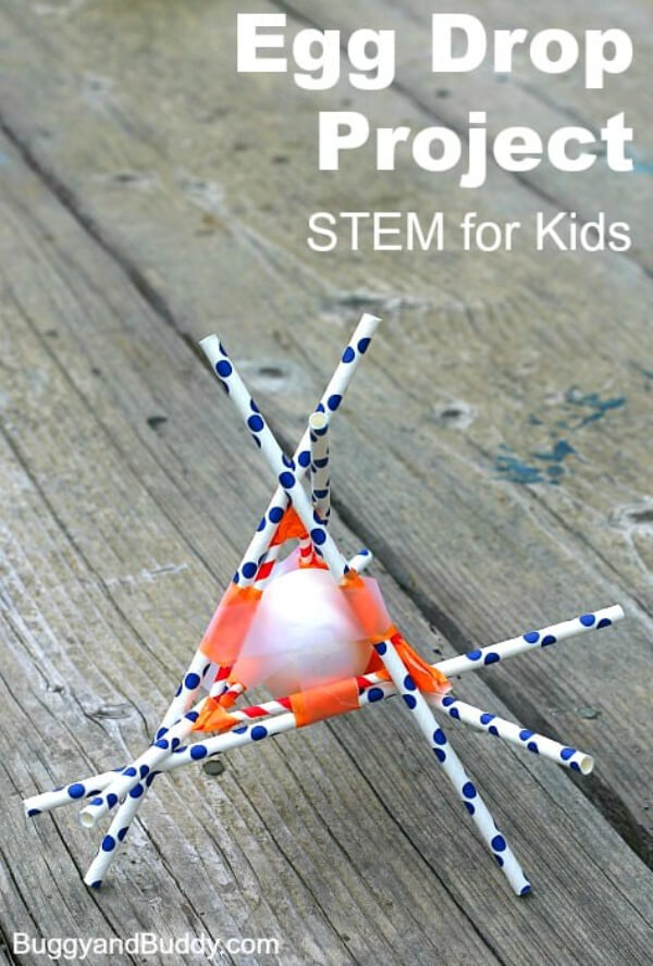 Last Minute Egg Drop Project For Kids