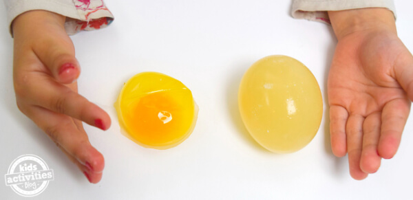 Naked Egg Science Project For Kindergarten