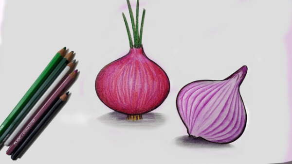 Onion Crafts & Activities for Kids DIY Onion Drawing Step by Step