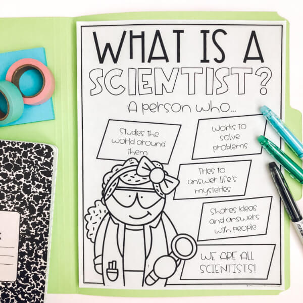 Science Anchor Chart Ideas For Kids
