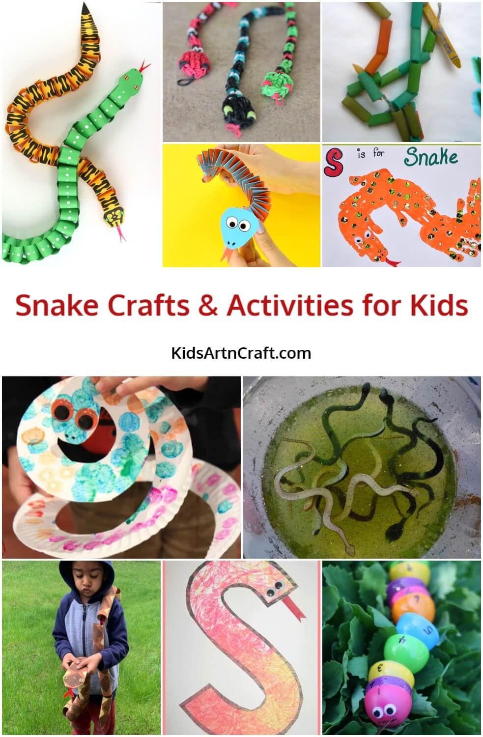 Snake Crafts & Activities for Kids