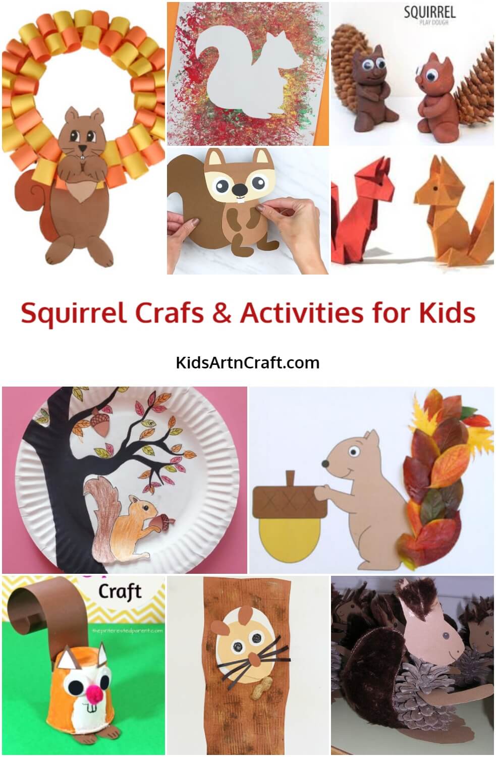 Squirrel Crafts & Activities for Kids