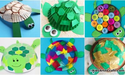 Turtle Crafts And Activities For Kids