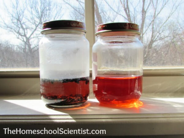 Water Purifying Experiment Projects For 7th Grade