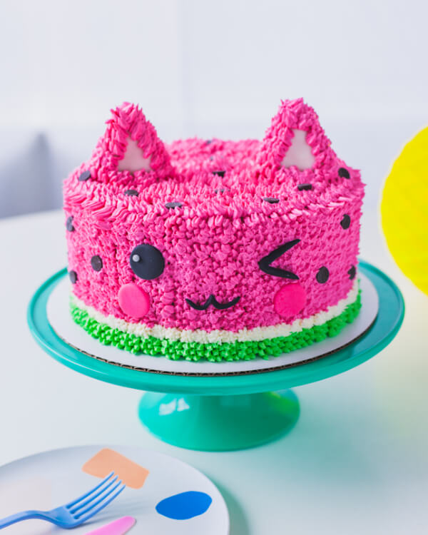 Watermelon Cat Cake Ideas For Girls Dripping Cake Ideas for Kids