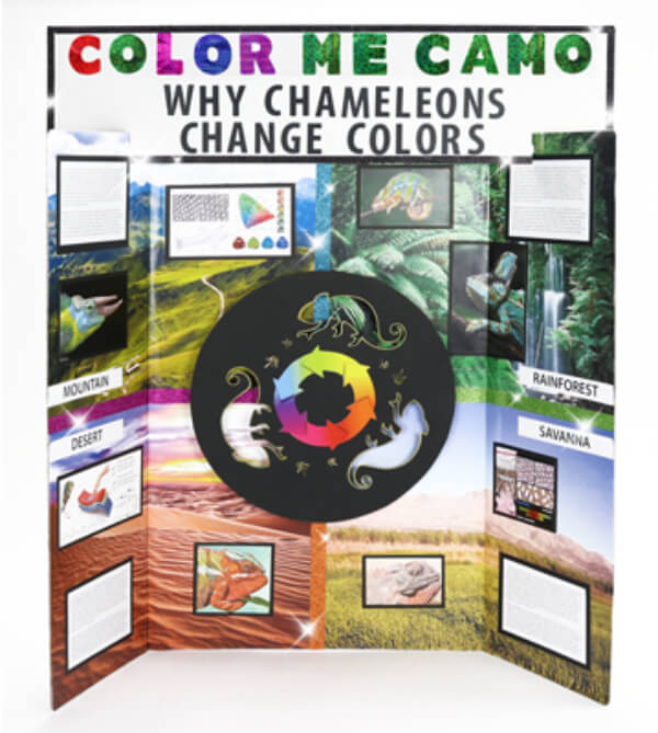 Why Chameleons Change Colors: 4th grade Science Project