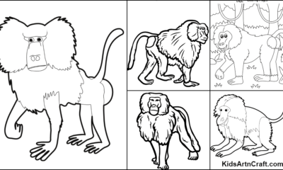Baboon Coloring Pages For Kids – Free Printables