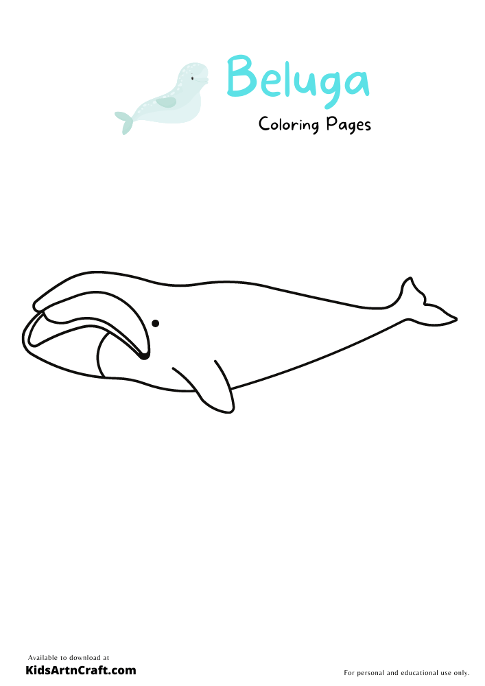 Beluga Coloring Pages for Kids – Free Printables