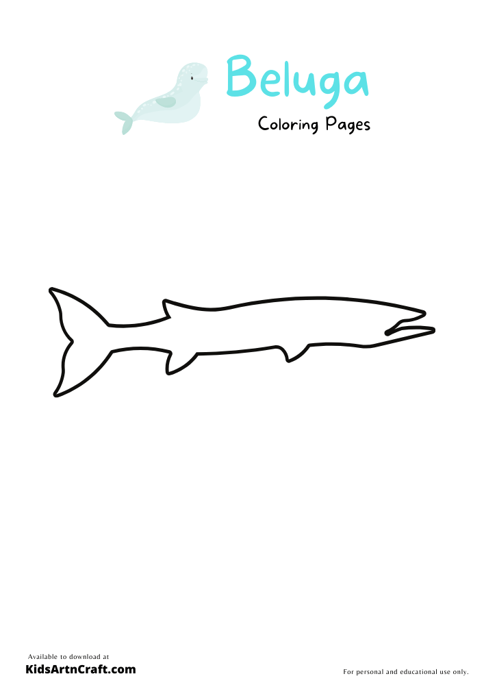 Beluga Coloring Pages for Kids – Free Printables