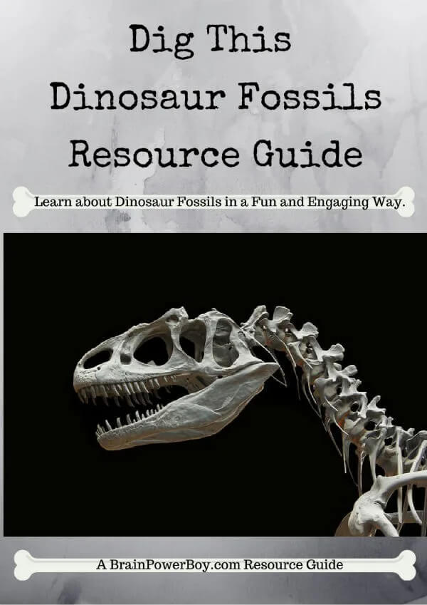 Dinosaurs Fossil Guide For Preschoolers