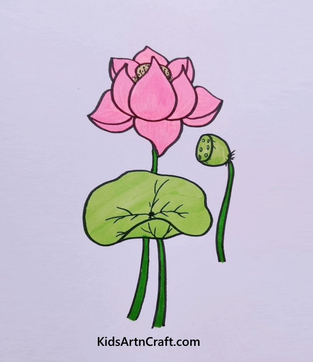 The Unique Lotus Flower