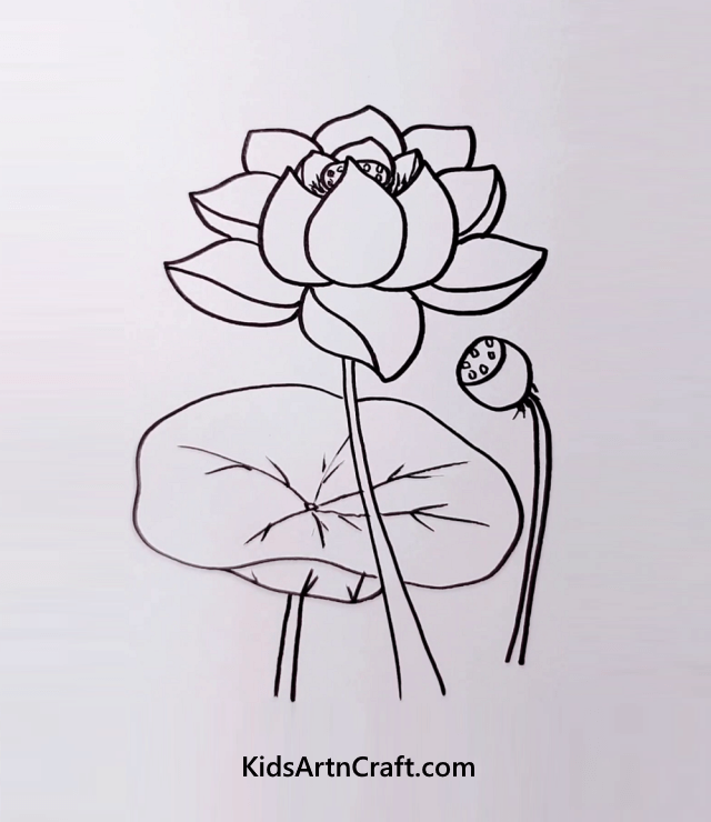  Easy Flower Drawings For Kids Lotus Flower Revisited