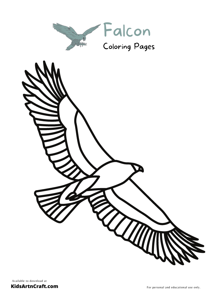 Falcon Coloring Pages For Kids – Free Printables