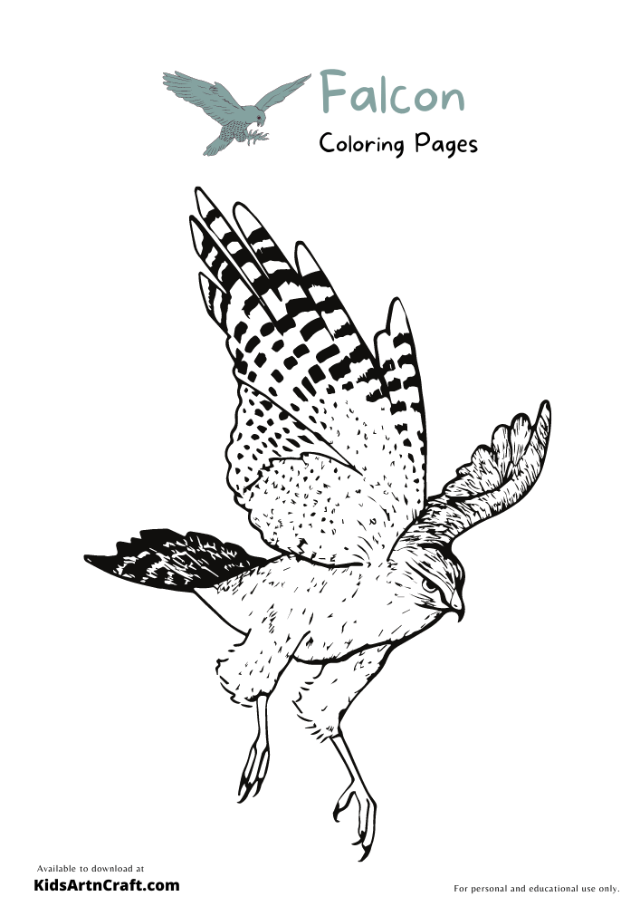 Falcon Coloring Pages For Kids – Free Printables