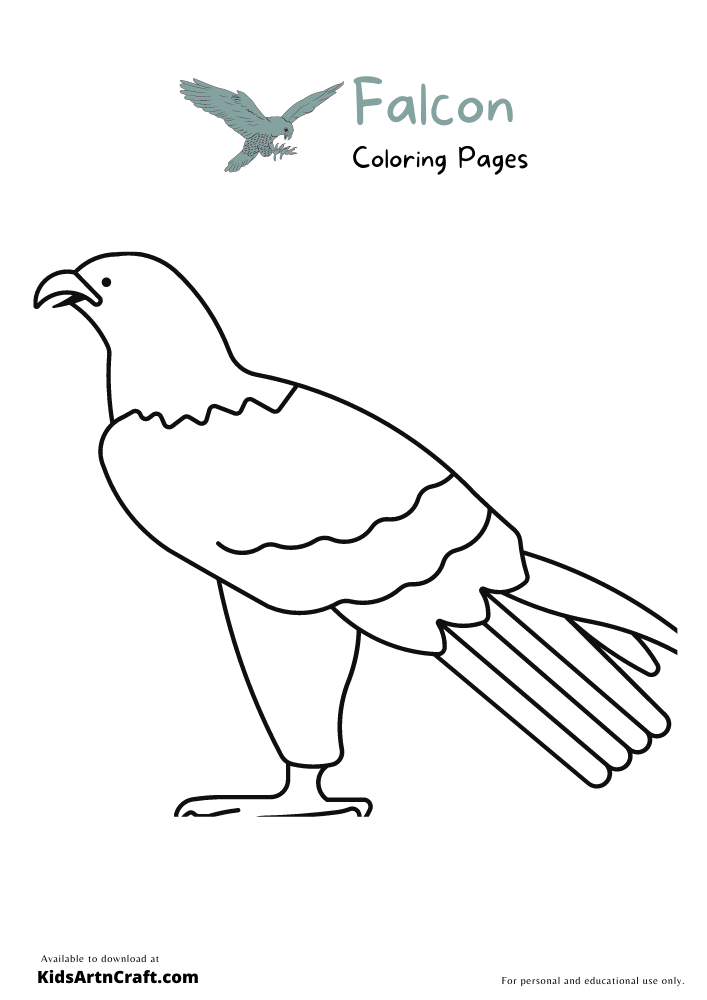 Falcon Coloring Pages For Kids – Free Printables
