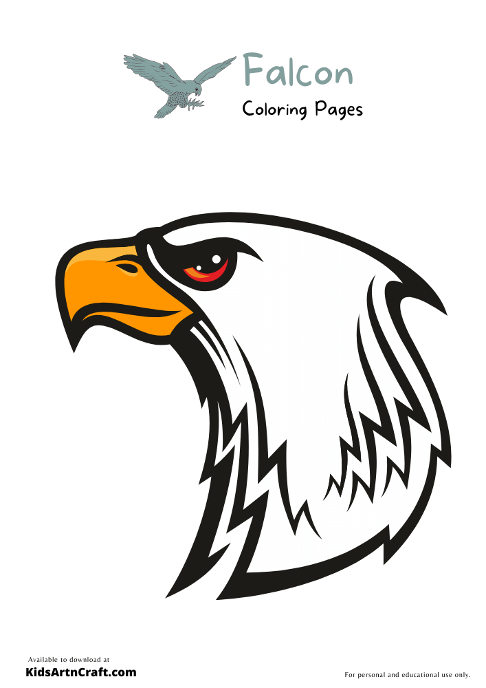 Falcon Coloring Pages For Kids – Free Printables