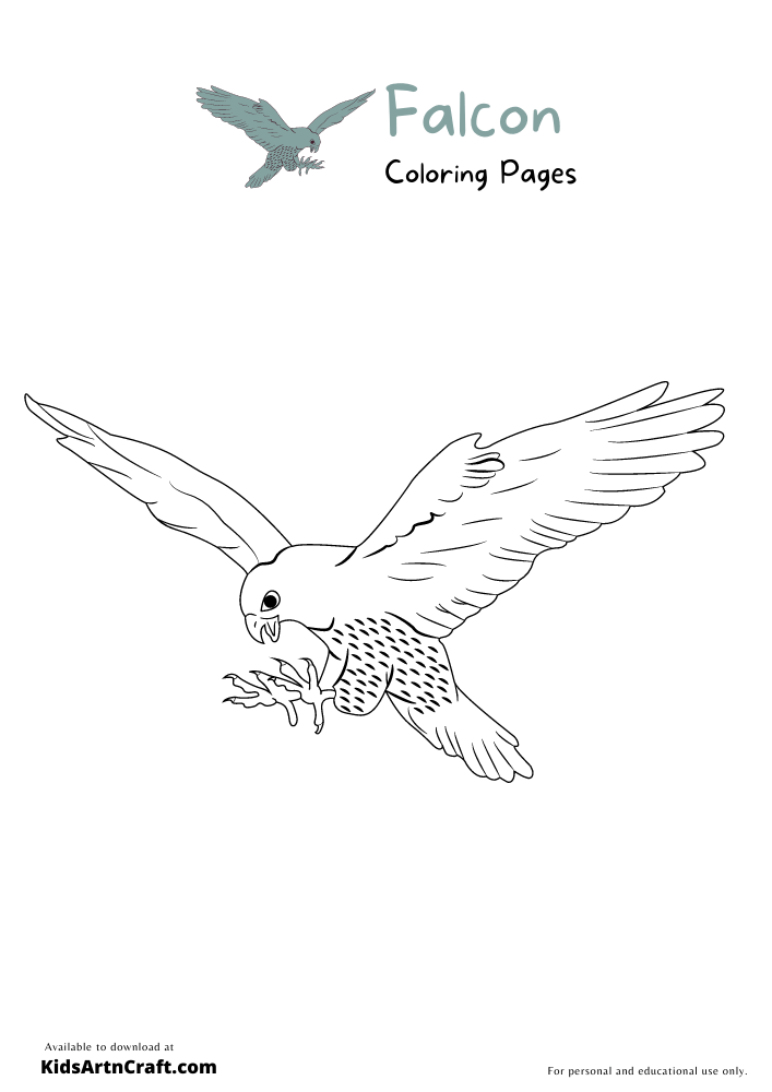 Falcon Coloring Pages For Kids – Free Printables